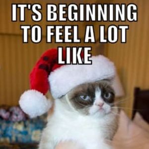 Meet your Posher, Frank